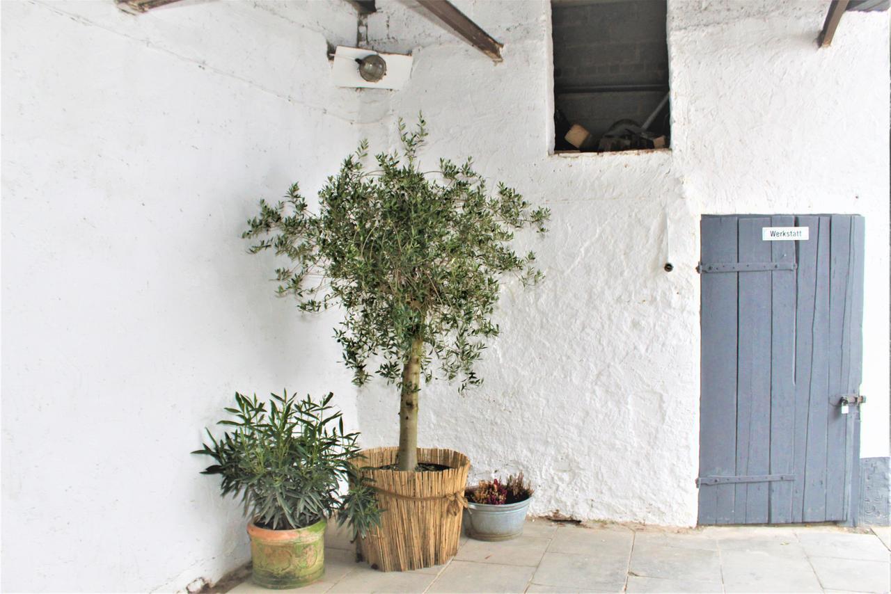Wunderschoene Ferienwohnung Bruchhausen  ภายนอก รูปภาพ